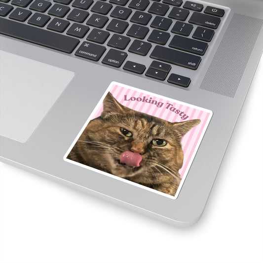 Cami Sticker - Looking Tasty