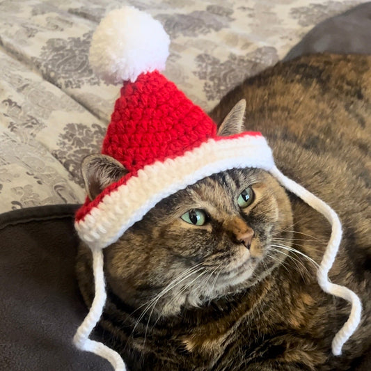 Red Santa Cat Hat