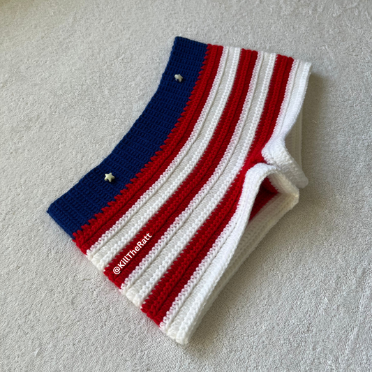 American Flag Crochet Mini Shorts | Red, White, Blue | Beach Outfit Mini Shorts | Summer Shorts | Y2K Mini Shorts | Hip Hugging Low Waisted
