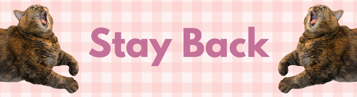Cami Bumper Stickers