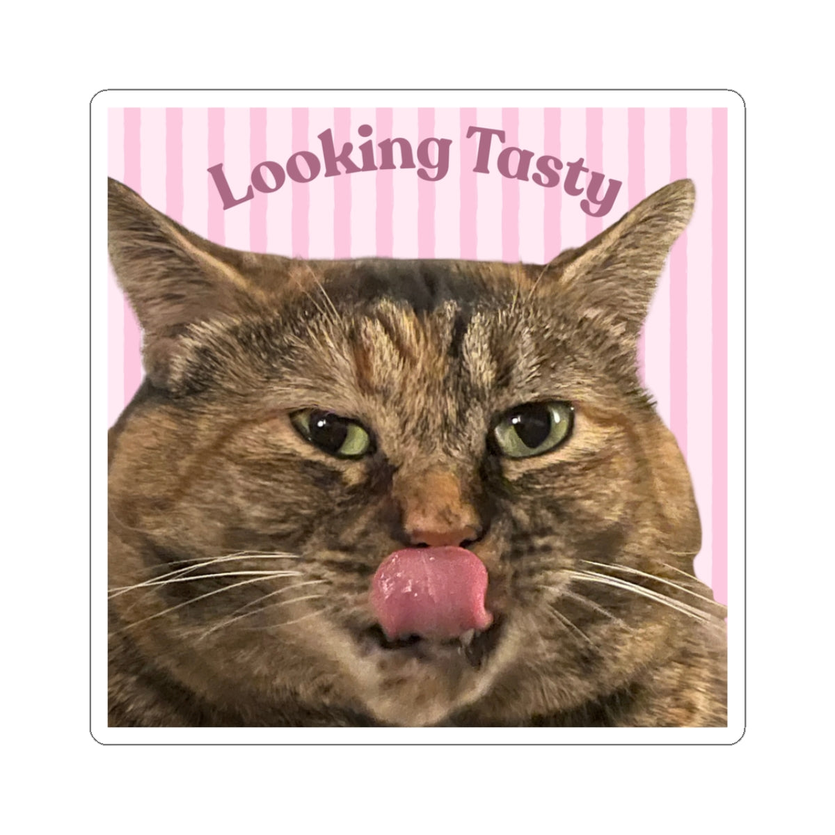 Cami Sticker - Looking Tasty