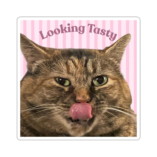 Cami Sticker - Looking Tasty