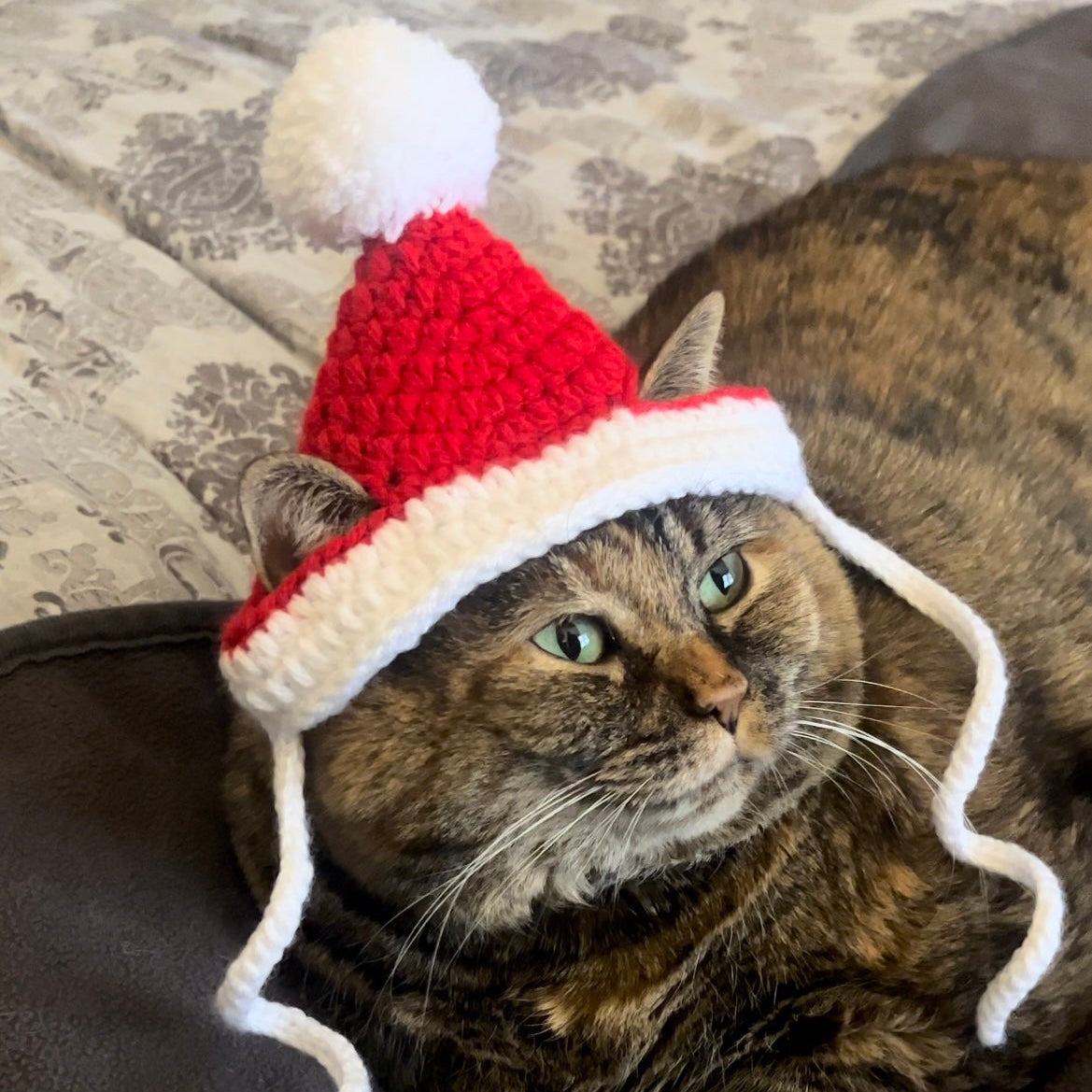 Red Santa Cat Hat
